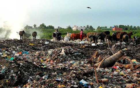 converted plastic waste to fuel